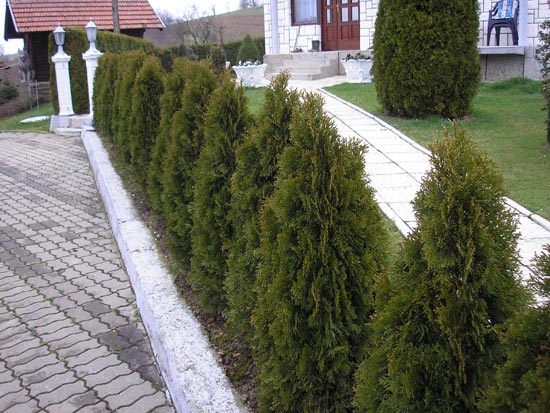 Klikni za vecu sliku ...