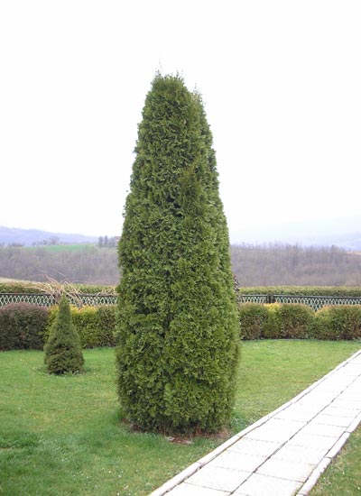 Klikni za vecu sliku ...