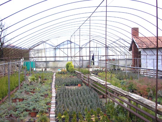 Klikni za vecu sliku ...