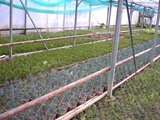 Klikni za vecu sliku ...